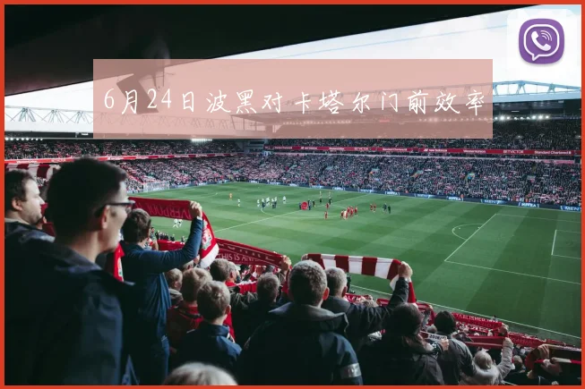 6月24日波黑对卡塔尔门前效率