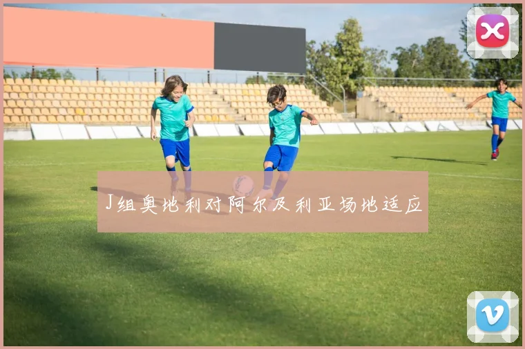 J组奥地利对阿尔及利亚场地适应