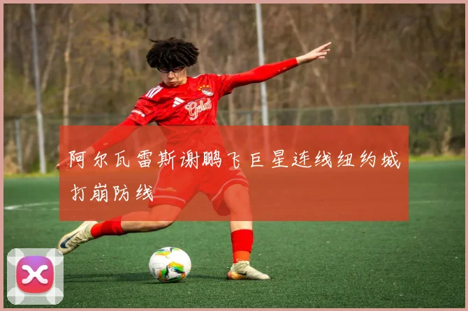 阿尔瓦雷斯谢鹏飞巨星连线纽约城打崩防线