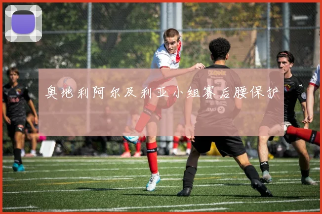 奥地利阿尔及利亚小组赛后腰保护
