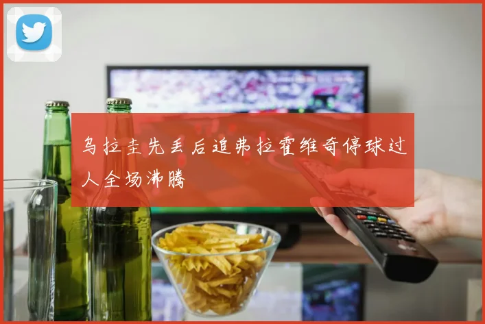 乌拉圭先丢后追弗拉霍维奇停球过人全场沸腾